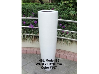NSL Model B5